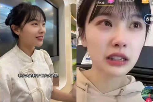 Bỏ việc vì một lần livestream kiếm bằng 10 năm đi làm ở Trung Quốc