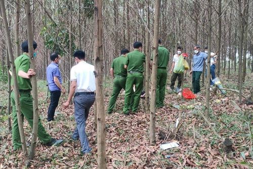 Phát hiện thi thể cụ bà bị lạc đoàn tham quan trong rừng tràm