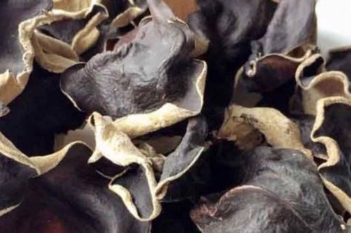 3 lưu ý khi sử dụng mộc nhĩ