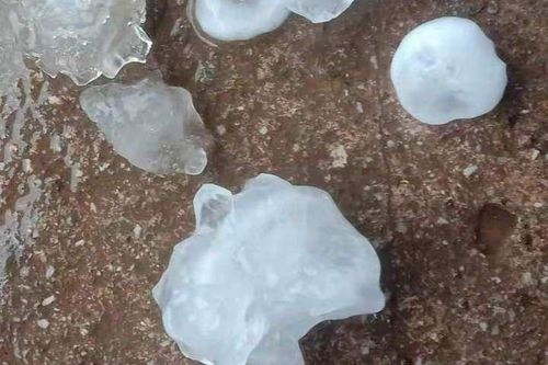 Mưa đá gây thiệt hại 471 ngôi nhà ở Cao Bằng
