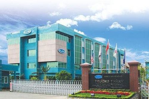 783 tỷ đồng doanh thu 'trên giấy', nợ khó đòi của Gỗ Trường Thành (TTF) cao vượt cả vốn chủ