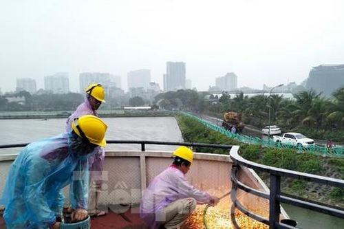 Đội mưa, cưỡng chế di dời hai du thuyền cuối cùng ra khỏi Hồ Tây