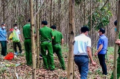 Tìm thấy nữ cựu chiến binh tử vong ở rừng tràm