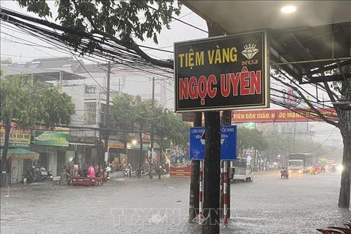 Đồng Nai: Mưa lớn khiến hơn 7.600 hộ dân mất điện, nhiều nơi ngập nặng