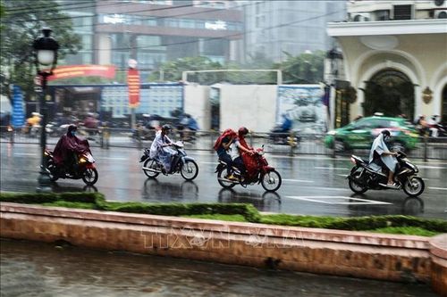 Thành phố Hồ Chí Minh đón cơn mưa 'giải nhiệt' sau đợt nắng nóng nhất năm