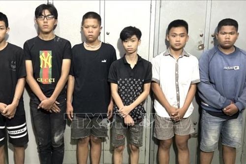 Đồng Nai: Bắt các đối tượng cố ý làm hư hỏng tài sản