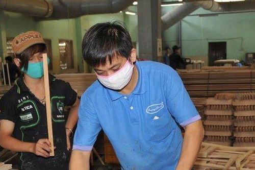 Một doanh nghiệp ngành gỗ 'ôm' lỗ lũy kế hơn 3.000 tỷ đồng