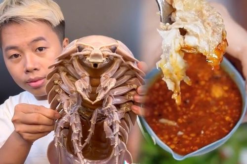 Dân tình đua nhau mukbang bọ biển: 'Ngoại hình' đáng sợ nhưng ai ăn vào cũng tấm tắc khen!