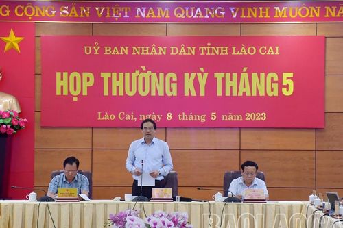 Chủ tịch UBND tỉnh: Nếu cán bộ, công chức, viên chức không đáp ứng được yêu cầu nhiệm vụ thì thay thế