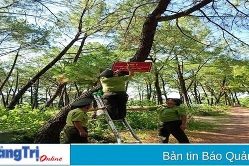 Tăng cường công tác quản lý, bảo vệ và phát triển rừng bền vững