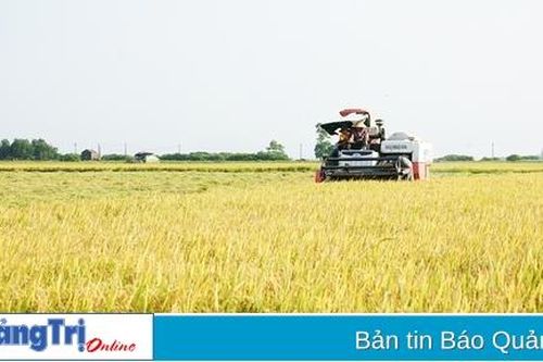 Vụ đông xuân được mùa, được giá