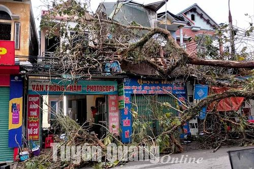 Dông lốc gây thiệt hại tại một số địa phương