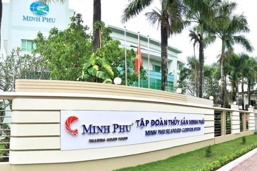 Thủy sản Minh Phú: Doanh thu quý I sụt giảm còn phân nửa năm ngoái