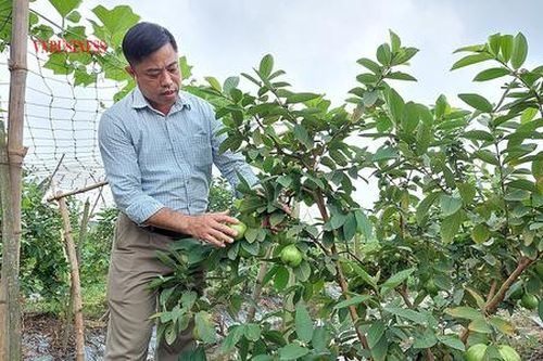 HTX thành công nhờ chiến lược đa dạng hóa các loại hình dịch vụ