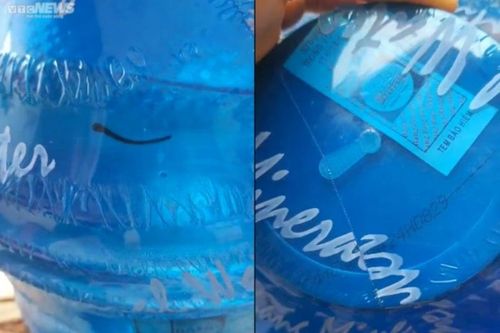 Đỉa ngoe nguẩy trong bình nước còn nguyên tem: Bộ Y tế yêu cầu làm rõ