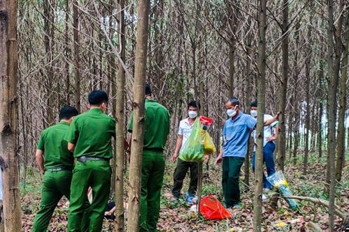 Nữ cựu chiến binh Hà Tĩnh chết trong rừng tràm gần nghĩa trang