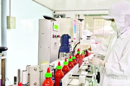 Địa phương báo cáo tình hình lao động-việc làm trên địa bàn trước ngày 10/5