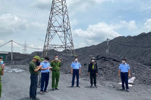 Châu Thị Mỹ Linh cùng 2 anh em 'đại gia lan đột biến' bị truy tố
