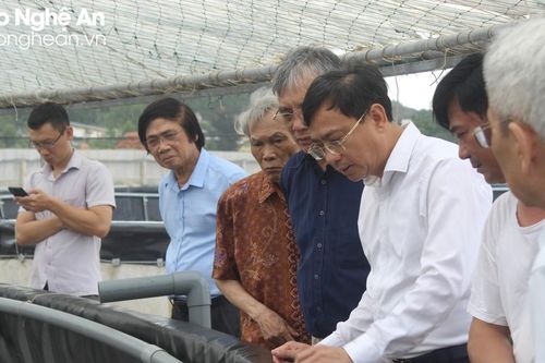 Tổ tư vấn kinh tế - xã hội tỉnh Nghệ An làm việc với huyện Quỳnh Lưu
