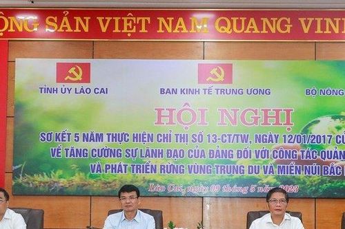 Để tài nguyên rừng trở thành động lực phát triển kinh tế quan trọng
