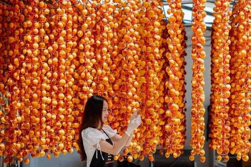 Mở rộng đối tượng sử dụng thương hiệu 'Đà Lạt - Kết tinh kỳ diệu từ đất lành'