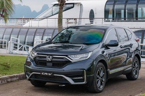 Loạt ô tô gầm cao giảm giá trăm triệu tại Việt Nam