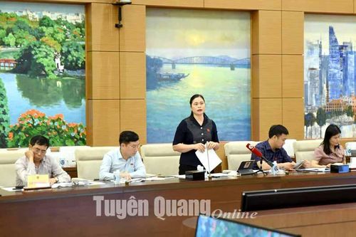 Phó Trưởng đoàn chuyên trách Đoàn ĐBQH tỉnh Ma Thị Thúy đề nghị làm rõ tiến độ xây dựng nông thôn mới