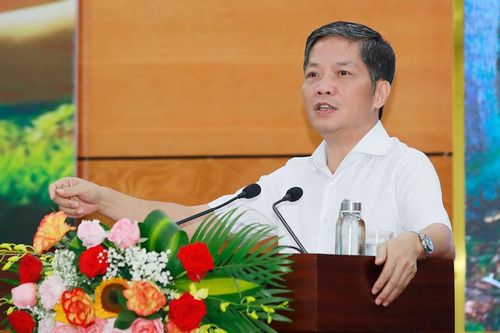 Bàn giải pháp bảo vệ rừng và phát triển kinh tế lâm nghiệp