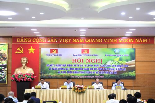 Trung du và miền núi Bắc Bộ cần có chính sách đủ mạnh để phát triển kinh tế rừng