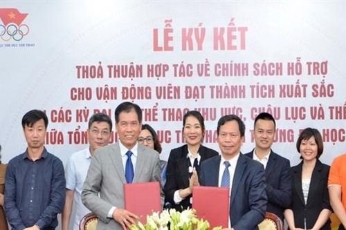 Hỗ trợ học bổng cho vận động viên đạt thành tích quốc tế