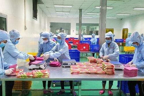 Cần ưu tiên giải quyết điểm nghẽn trong sản xuất chế biến lương thực thực phẩm