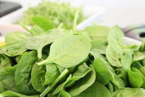 Bí quyết khỏe đẹp với 7 thực phẩm giàu vitamin E