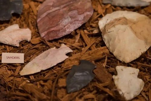 Phát hiện mới đáng ngạc nhiên về nguồn gốc thổ dân châu Mỹ