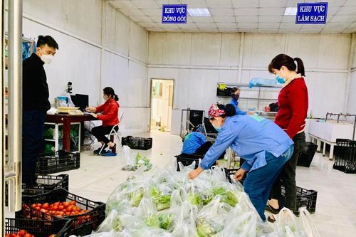Sản xuất nông nghiệp của Thủ đô khẳng định vai trò là 'bệ đỡ' quan trọng