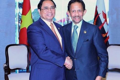 Việt Nam và Brunei mở rộng hợp tác thương mại với 4 trọng tâm chính