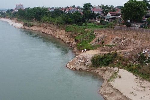 Phú Thọ: Người dân bất an vì tình trạng sạt lở bờ sông Đà