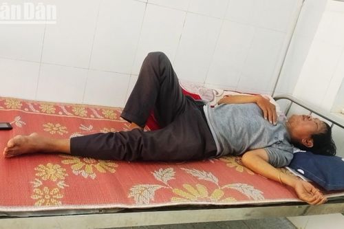 Hành hung lực lượng bảo vệ rừng ở Kon Tum