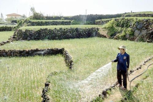 Tìm đâu ra nước ngọt cho Lý Sơn?