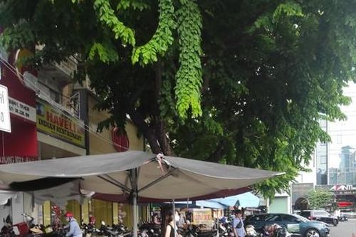 Gian nan thu phí đỗ ô tô