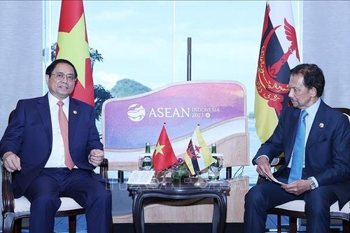 Thủ tướng Phạm Minh Chính gặp Quốc vương Brunei Darussalam