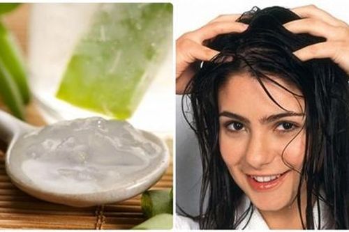 Mẹo phục hồi tóc hư tổn với nha đam