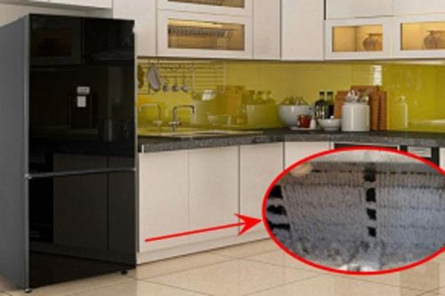 Tủ lạnh có 1 cơ quan nhỏ, làm sạch 6 tháng 1 lần giúp tiết kiệm điện, máy bền, lâu hỏng