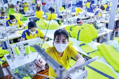 Bất lực khi dự báo về thị trường, xuất khẩu vẫn chưa thấy ánh sáng