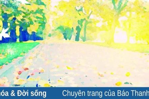 Chỉ một thoáng thôi, cũng đủ bình yên...