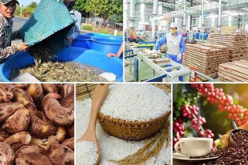 Tăng cường phối hợp để bảo vệ lợi ích của ngành nông, lâm, thủy sản Việt Nam