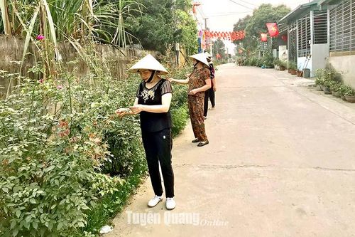Nông Trường làm theo lời Bác