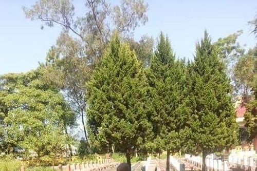 Ký ức chiến tranh: Xẻ dọc Trường Sơn - P9