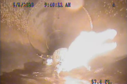 Cá sấu vội vàng tháo chạy khi gặp camera robot