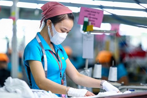 Người trẻ ứng dụng chuyển đổi số vào công việc