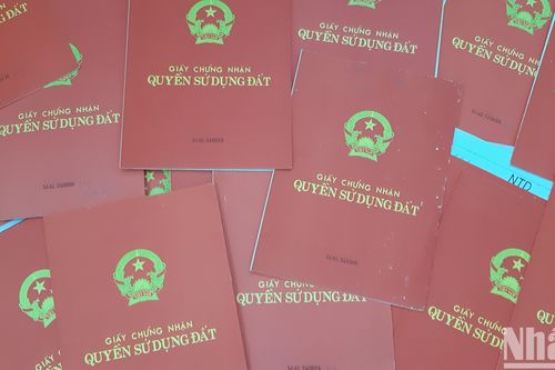 Quảng Ngãi: Kỷ luật 3 cán bộ xã vi phạm trong giải quyết thủ tục hành chính về đất đai